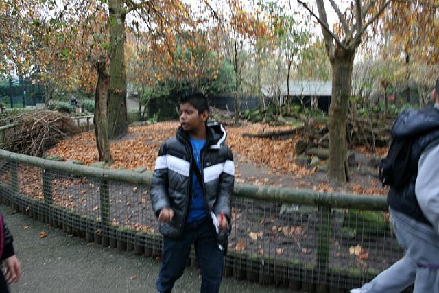 IMG 6269