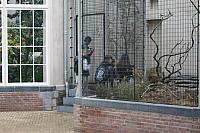 IMG 6148