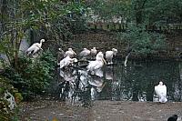IMG 6150