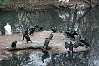 IMG 6151