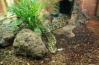 IMG 6155