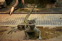 IMG 6159