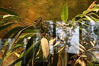 IMG 6165