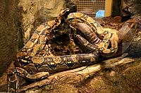IMG 6166