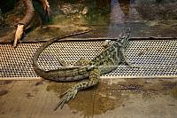 IMG 6167