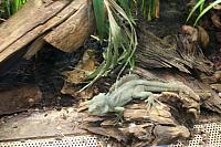 IMG 6168