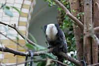IMG 6173
