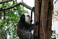 IMG 6174