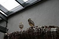 IMG 6184