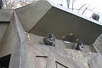 IMG 6187