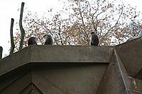 IMG 6188