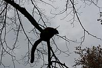 IMG 6197