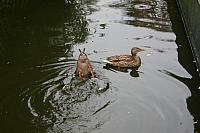 IMG 6199