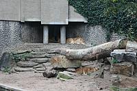 IMG 6200