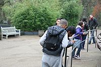 IMG 6201