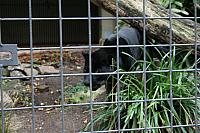 IMG 6205