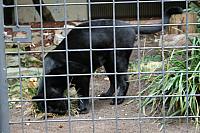 IMG 6206