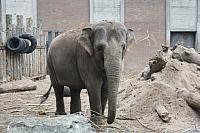 IMG 6211