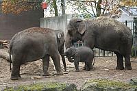 IMG 6214
