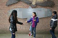 IMG 6220