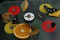 IMG 6229