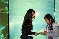 IMG 6234