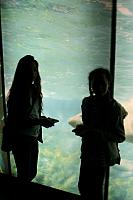 IMG 6243