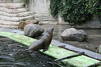 IMG 6244