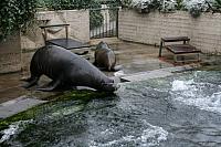 IMG 6247