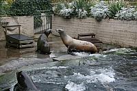 IMG 6248