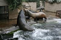 IMG 6249