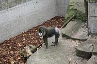 IMG 6255