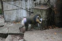IMG 6258