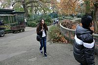 IMG 6268