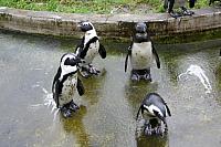 IMG 6272