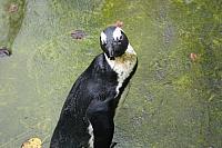 IMG 6274