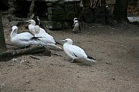 IMG 6279