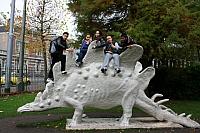 IMG 6291