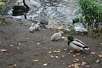 IMG 6296