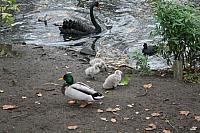 IMG 6297